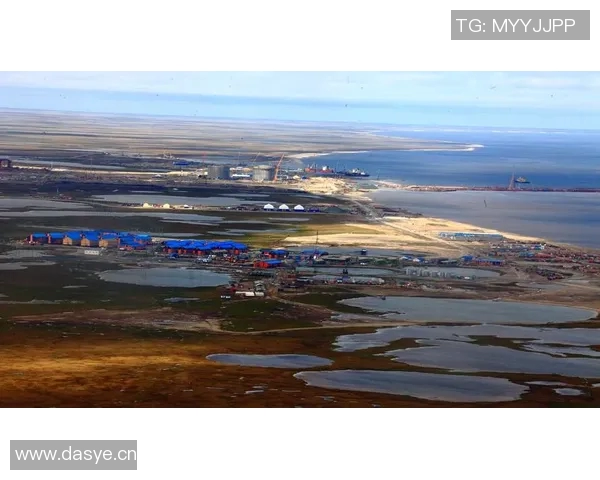 亚马尔地区地理与气候变化对全球环境影响的深度分析与研究